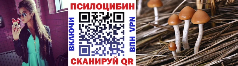 Галлюциногенные грибы мухоморы  Зеленодольск 